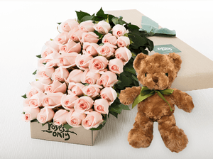 50 Pastel Pink Roses Gift Box & Teddy Bear