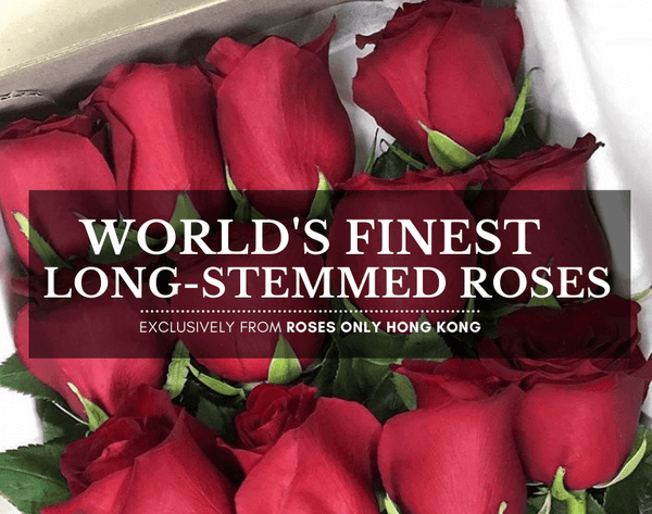 Hk Roses Flower Delivery Hong Kong | Roses Only HK | 花店香港 | 網上花店