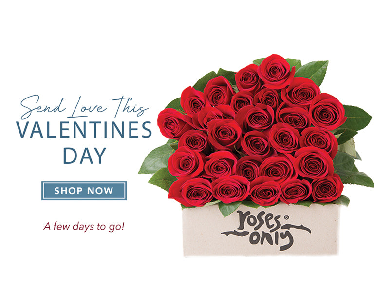 Hk Roses Flower Delivery Hong Kong | Roses Only HK | 花店香港 | 網上花店