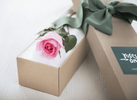 Single Pastel Pink Rose Gift Box