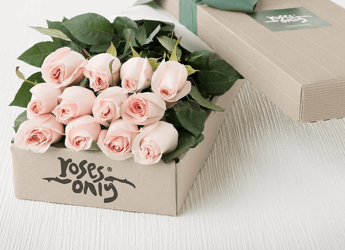 Valentine Flowers 12 Pastel Pink Roses Gift Box