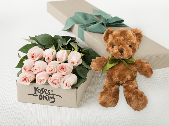 12 Pastel Pink Roses Gift Box Teddy Bear Roses Only HK