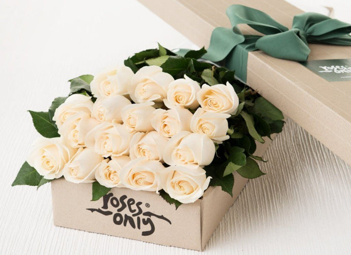 18 White Cream Roses Gift Box