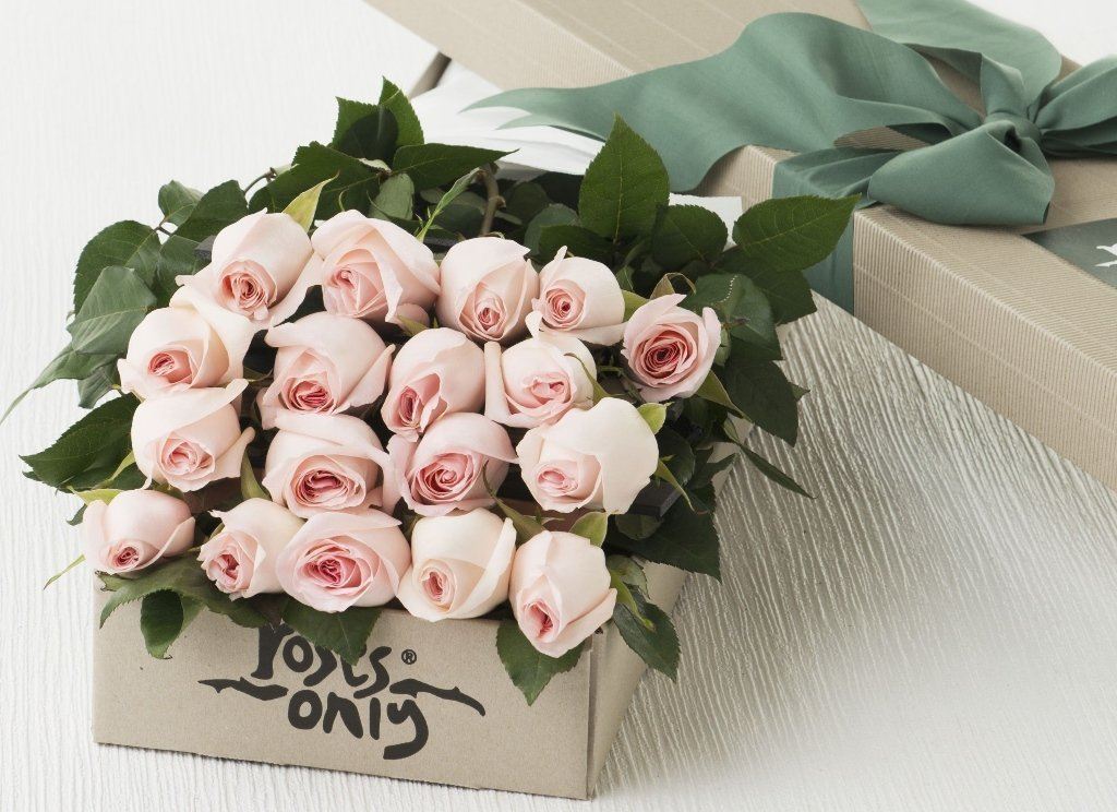 18 Pastel Pink Roses Gift Box