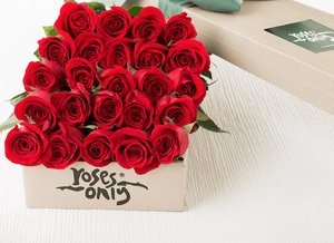 Valentine Flowers 24 Red Roses Gift Box