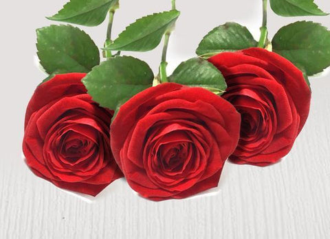 Three extra red stems