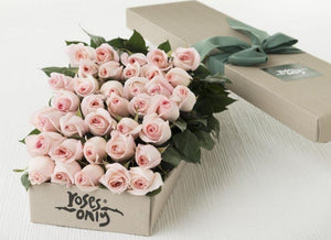 36 pastel pink long-stemmed roses
