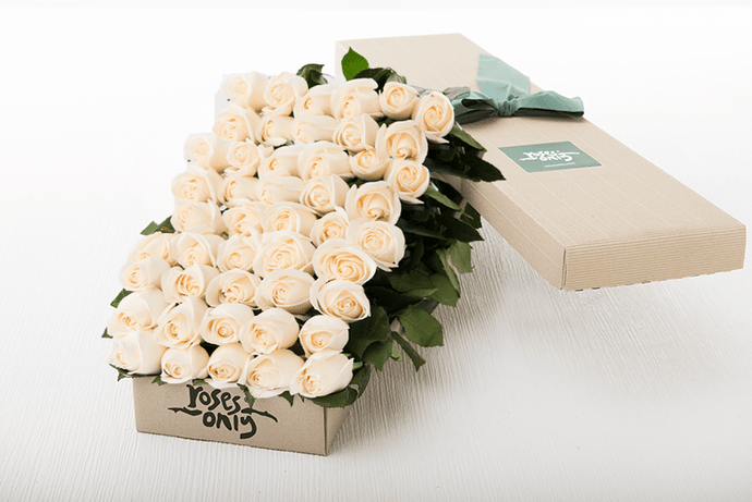 80 White Cream Roses Gift Box
