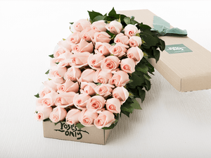 60 Pastel Pink Roses Gift Box