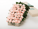100 Pastel Pink Roses Gift Box