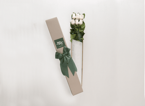 6 White Cream Roses Gift Box