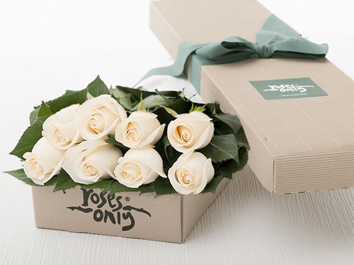 8 White Cream Roses Gift Box