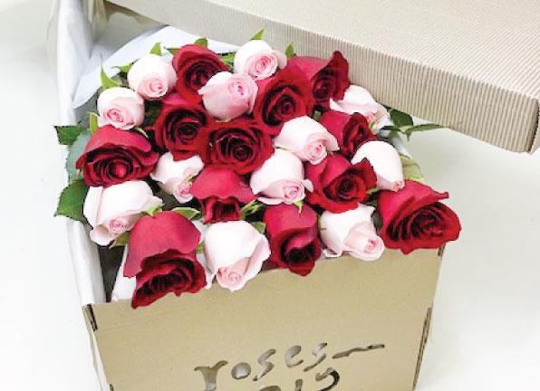 24 Mixed Red and Pink Roses Gift Box