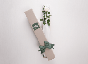 Single White Cream Rose Gift Box