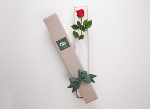 Single Red Roses Gift Box