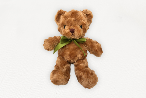 Peter the Teddy