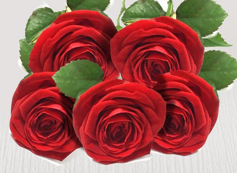 Five extra red stems